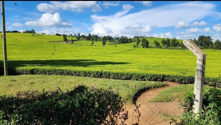 Kenya Inflation Hits 4.5 percent in December 2025 Amid Festive Season Price Surges